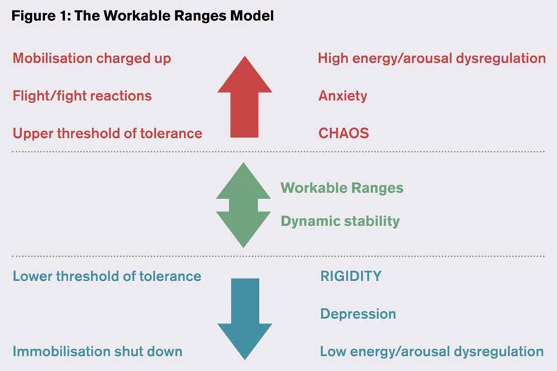 Illustrated diagram of The Workable Ranges Model