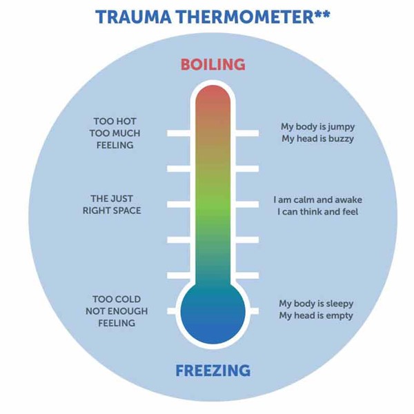 The Trauma Thermometer